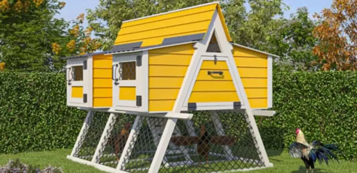 A-frame chicken coop woodworking design for backyard poultry farming