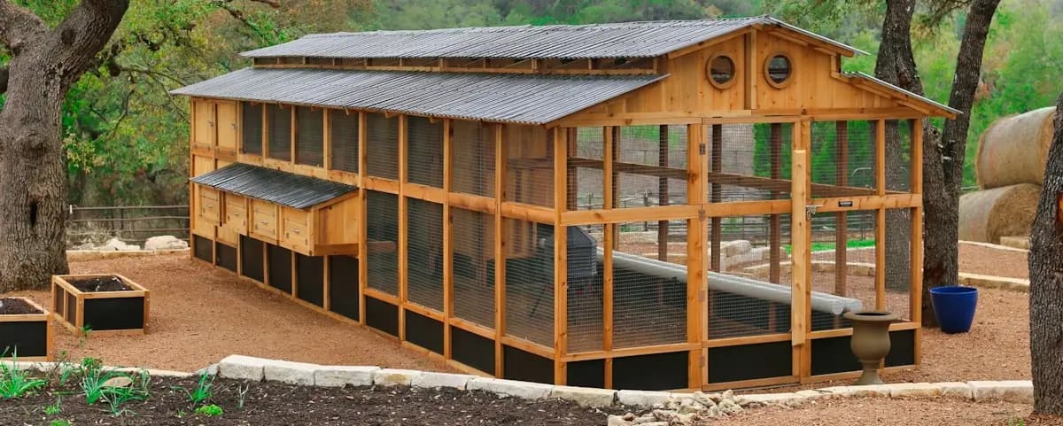 large walk-in chicken coop woodworking project for larger flocks