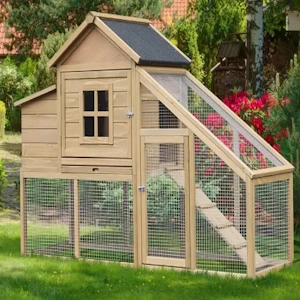 chicken coop plans for 50 chickens image